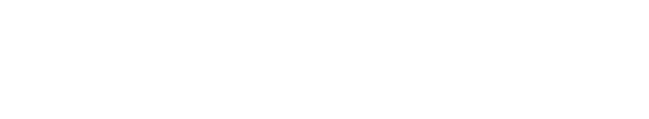 Driving-Change-Automotive-Group-Logo_White