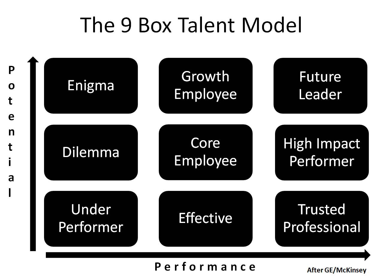 How-to Guide: 9-Box & Leadership Competency Model - Predictive Success