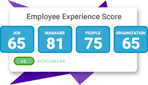 Employee-XP-Score