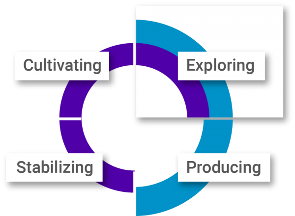 Strategy-Assessment