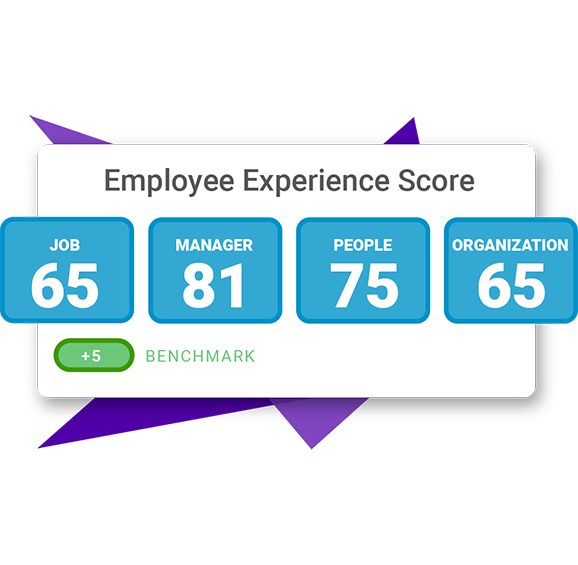 PI Employee Experience Survey