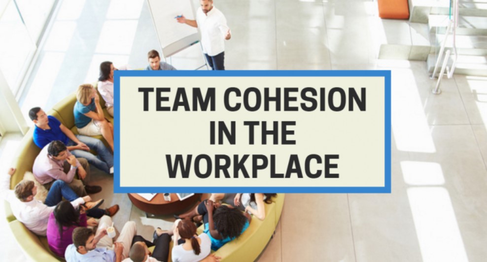 Team Cohesion